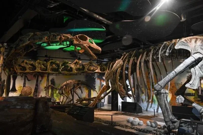 Un dinosaure vieux de 120 millions d’années découvert en Thaïlande