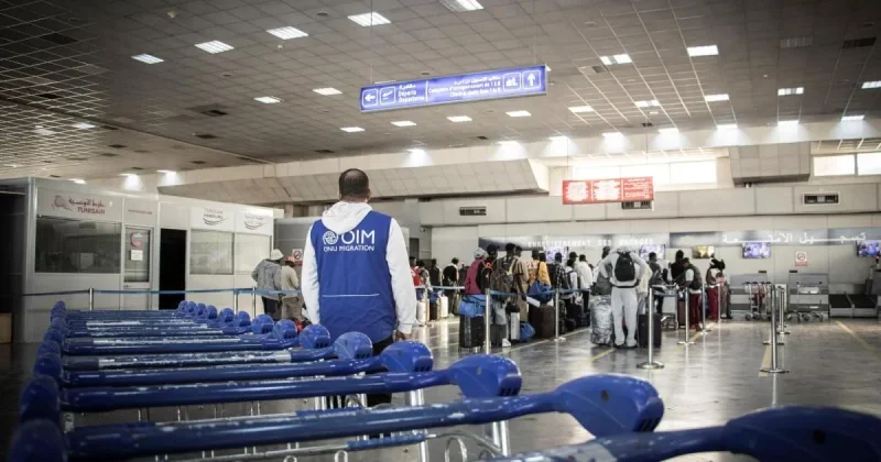 Retour volontaire : plus de 22.000 migrants irréguliers rapatriés