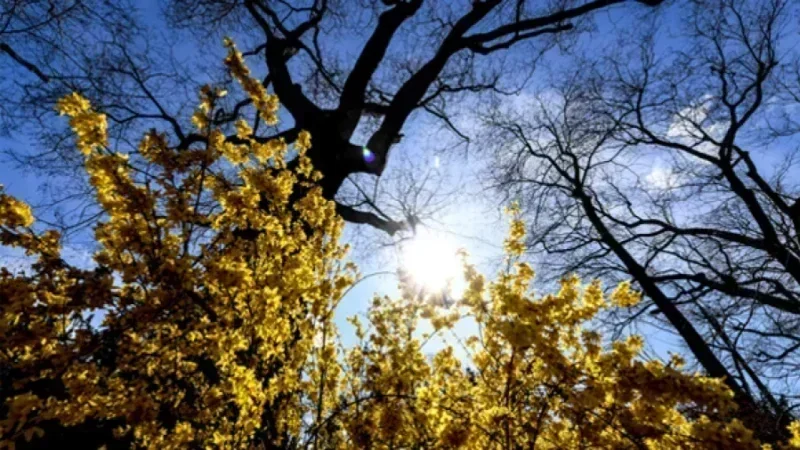 Météo : Temps peu nuageux... températures en hausse