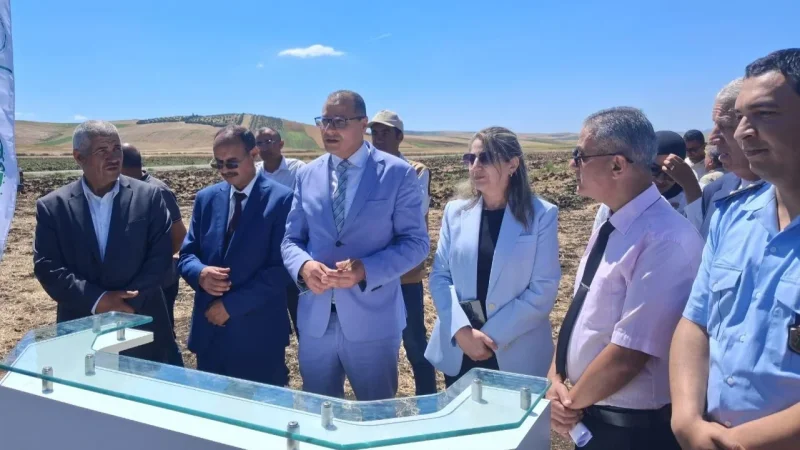 باجة: نحو تجميع 3 ملايين قنطار من الحبوب