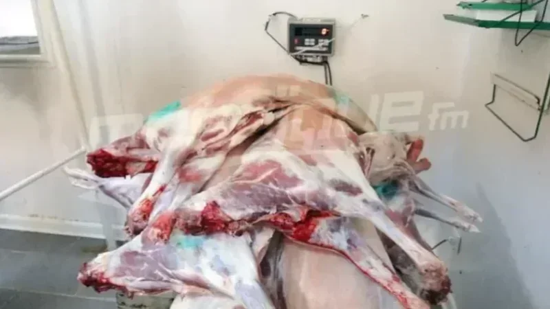 Le kilo de viande d'agneau à 46.5 dt dans ces points de vente