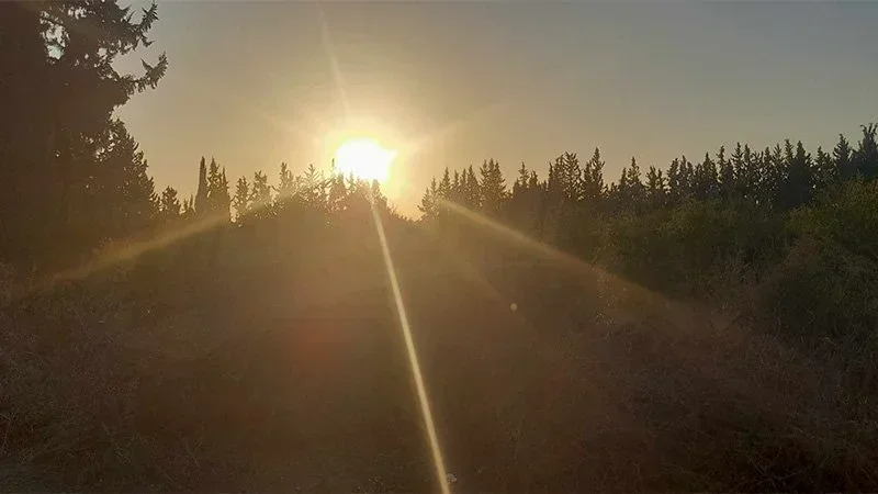 الحرارة تصل إلى 29 درجة بالجنوب الليلة
