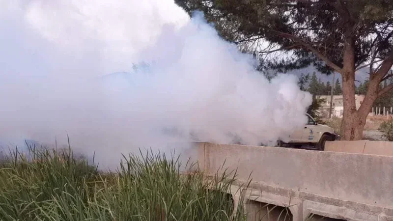 Bizerte : Renforcement de la lutte contre les chironomes