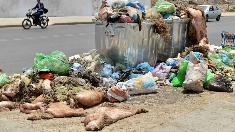 رفع 37 مليون كغ من النفايات خلال عيد الأضحى بزيادة 30%