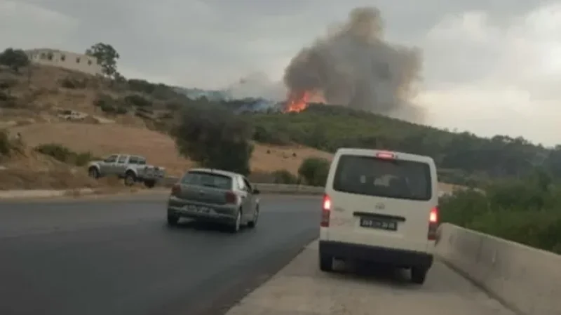 Takelsa: L'incendie à mont Dallaj maîtrisé...