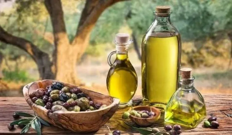 Huile d'olive : les recettes d'exportation en hausse de 45 %