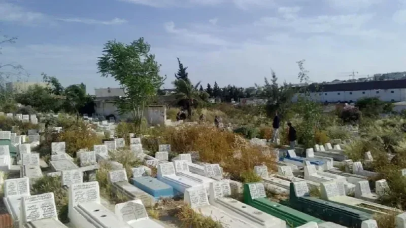 Vente de tombes : la municipalité de Tunis dément