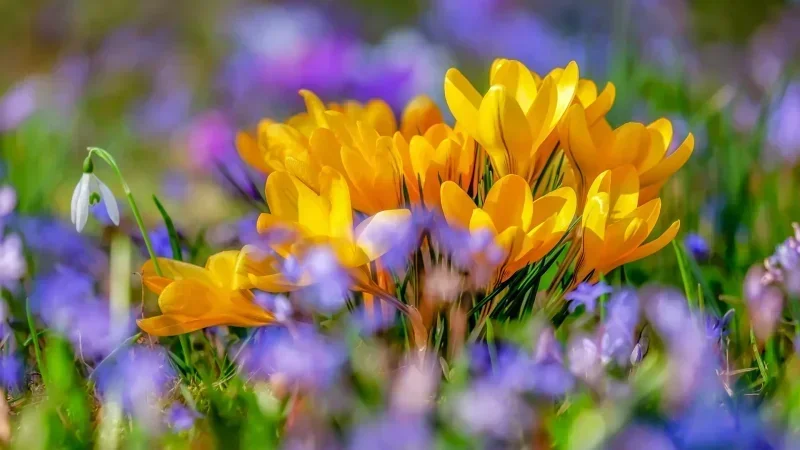 Météo: Légère baisse des températures