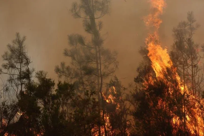 Incendie à Siliana : deux avions militaires en renfort
