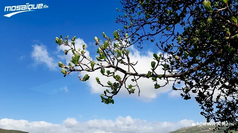 La météo du dimanche 9 août 2026