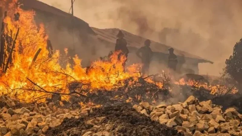 Tunisie: Nombre record d’incendies cet été