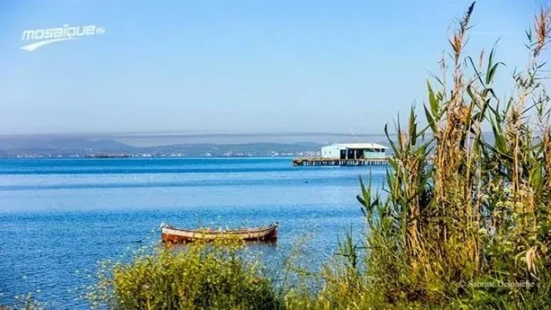 Weather: Slight rise in temperatures