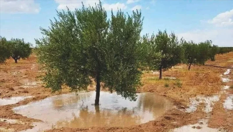 Intempéries : Le ministère de l’Agriculture appelle à la vigilance