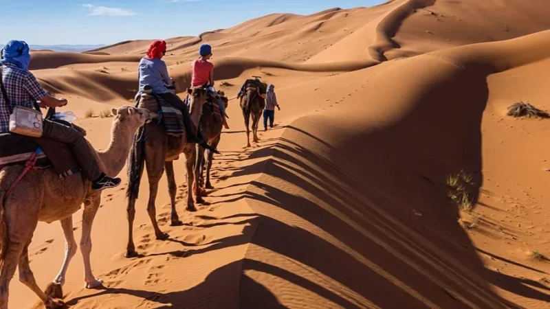 السياحة الصحراوية.. نسق تصاعدي للرحلات إلى عمق صحراء قبلي