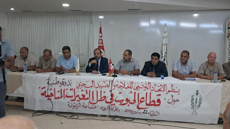 القيروان: ندوة وطنية للبحث عن أسباب تراجع مردودية الحبوب