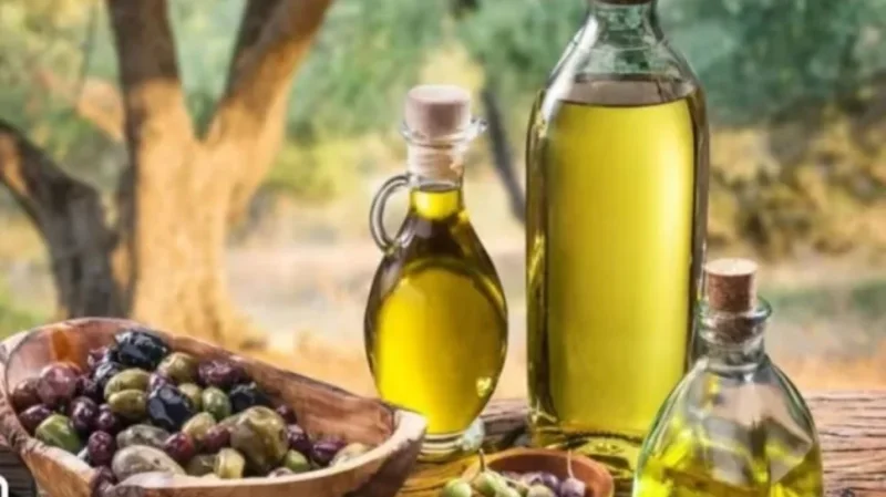 صادرات تونس من زيت الزيتون تتجاوز 381 ألف طن بقيمة 4.78 مليار دينار