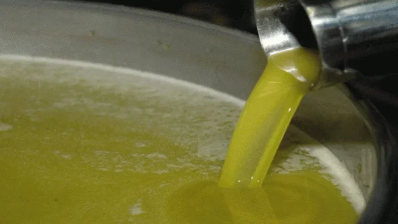 Huile d’olive : 381 mille tonnes exportées en 2026
