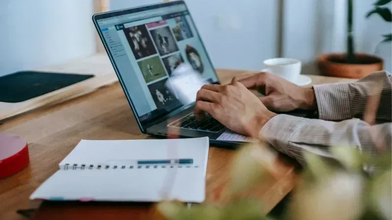 Self-employment and telework laws