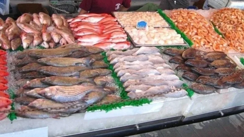 Fishery products: Net Trade surplus