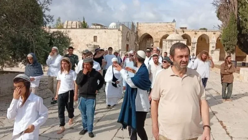 مئات المستوطنين يقتحمون الأقصى ويعتدون على الفلسطينيين بالضرب والسحل