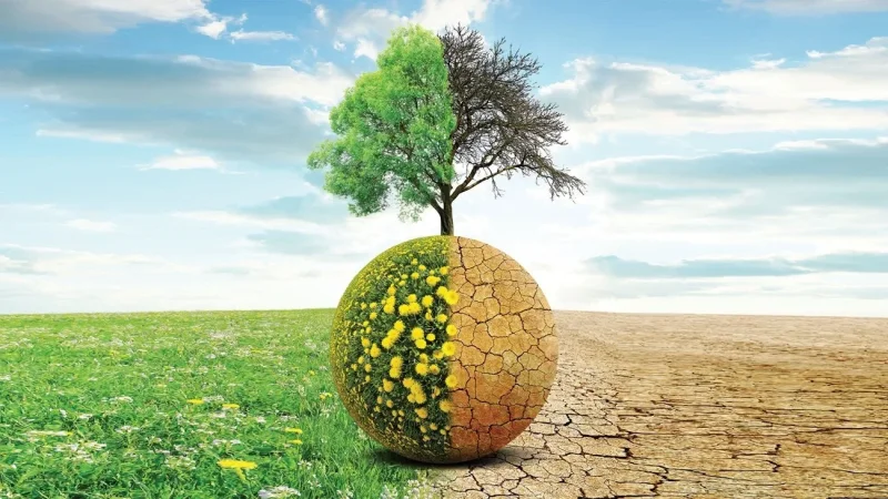 تونس تحتضن المنتدى الثاني لمجابهة الكوارث واستباق التغيرات المناخية