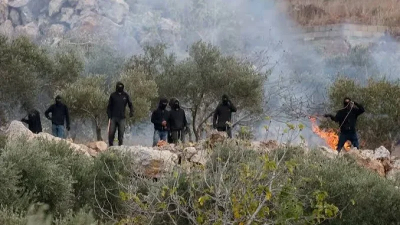 Conflit en Cisjordanie : des colons israéliens attaquent des agriculteurs palestiniens