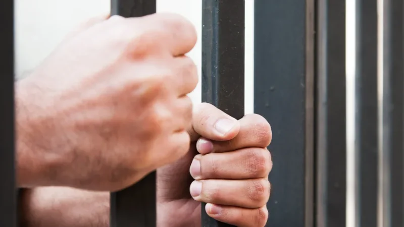 أحكام سجنية بـ 10 سنوات لعصابة سرقة المواشي بتونس الكبرى
