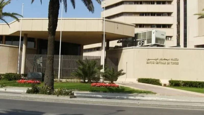 البنك المركزي يطالب البنوك بتوفير التمويلات اللازمة لموسم زيت الزيتون