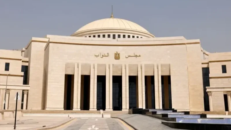 البرلمان المصري يُوافق على تقديم دعم دفاعي إلى السعودية