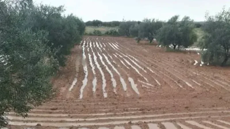 أمطار غزيرة في سيدي بوزيد
