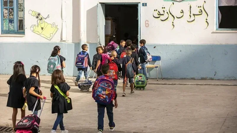 رياض بن بوبكر: إصلاح المدرسة التونسية يستوجب مراجعة للمنظومة التربوية