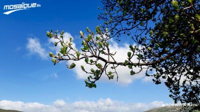 La météo du mercredi 16 juillet 2025