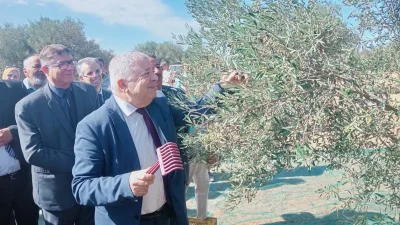 استدامة قطاع الزيتون والتغيرات المناخية محور المؤتمر المتوسطي بسوسة استدامة قطاع الزيتون والتغيرات المناخية محور المؤتمر المتوسطي بسوسة