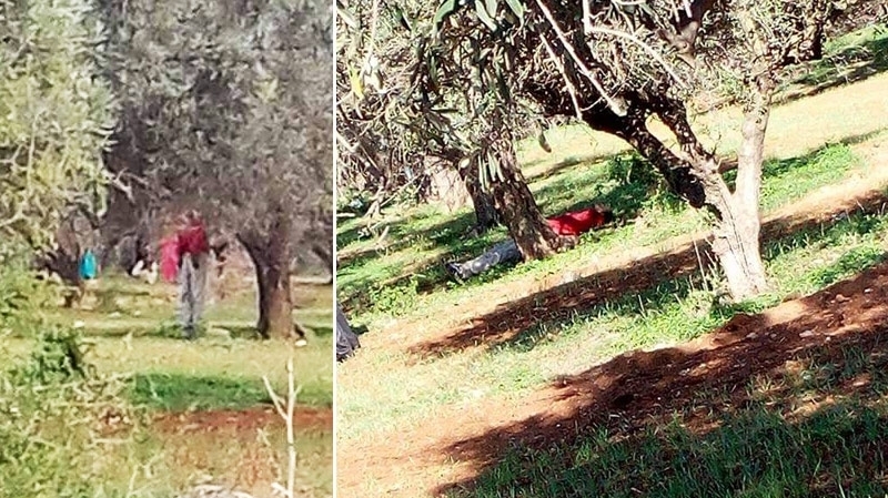 العثور على جثة شاب تتدلى من شجرة في سيدي حسين السيجومي