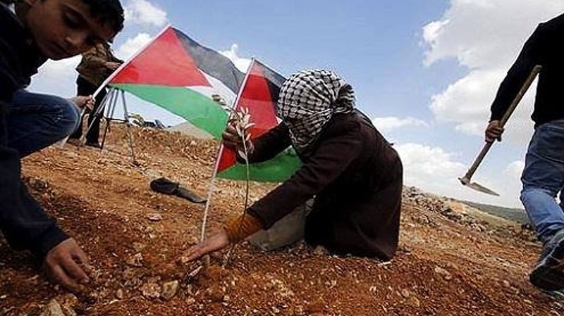 الذكرى 41 ليوم الأرض... إنّا باقون ما بقي الزعتر والزيتون  