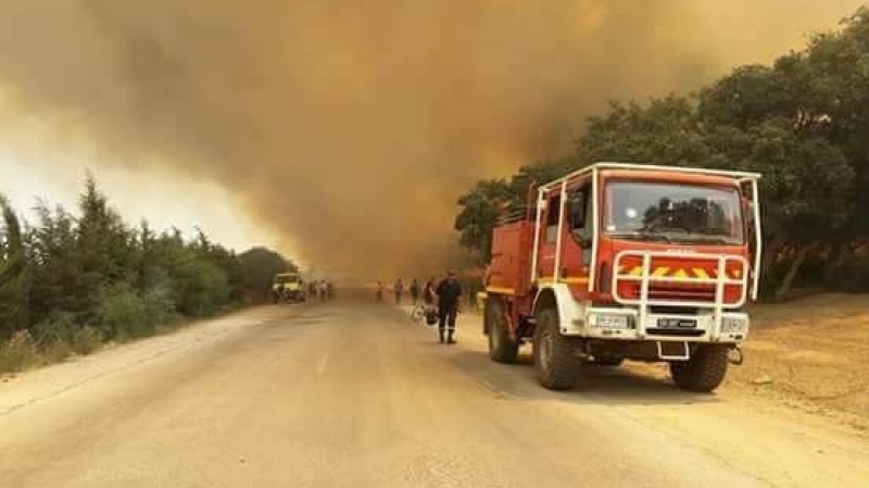 حرائق جندوبة:الوالي ينفي القبض على أشخاص اعترفوا بالوقوف وراءها حرائق جندوبة