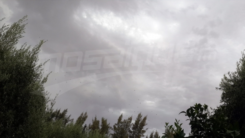 سحب بأغلب الجهات وأمطار متفرقة متوقعة يوم الاثنين