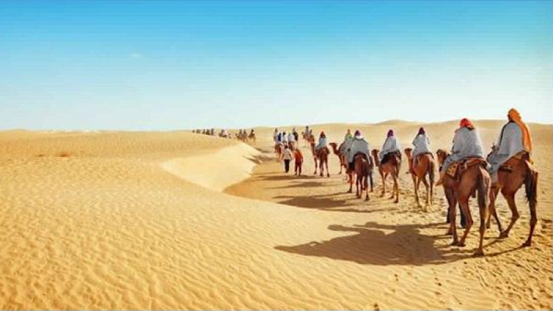 قبلي: إنتعاشة سياحية وزيادة بـ30 بالمائة في عدد الوافدين قبلي: إنتعاشة سياحية وزيادة بـ30 بالمائة في عدد الوافدين