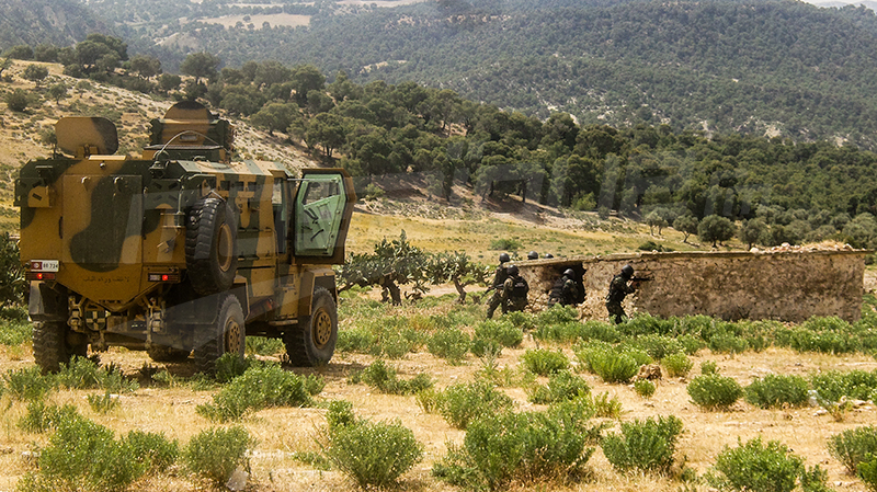 كان في طريقه إلى دواعش الجبل: القبض على إرهابي في المغيلة دواعش