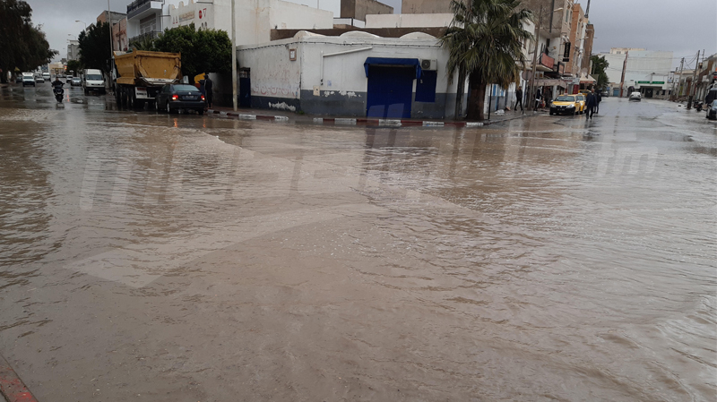 حين تُعاضد الطبيعة الحجر الصحي.. حين تُعاضد الطبيعة الحجر الصحي..