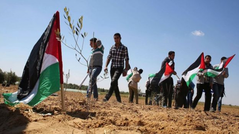 الذكرى الـ 44 ليوم الأرض: فلسطين تتحدى الإستعمار... والكورونا