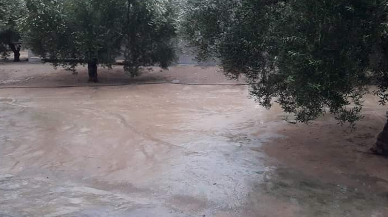 تهاطل كميات هامة من الأمطار في القيروان