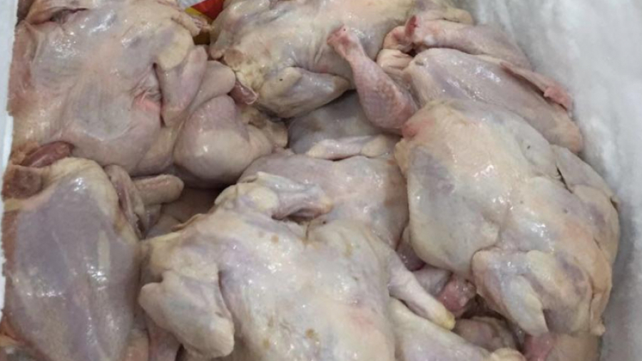 سيدي حسين: إتلاف نحو طن ونصف من الدجاج الفاسد سيدي حسين: إتلاف نحو طن ونصف من الدجاج الفاسد