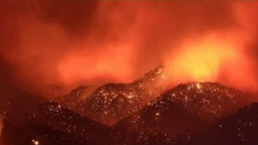 الجزائر: 7 قتلى في حرائق بتيزي وزو الجزائر: 7 قتلى في حرائق بتيزي وزو