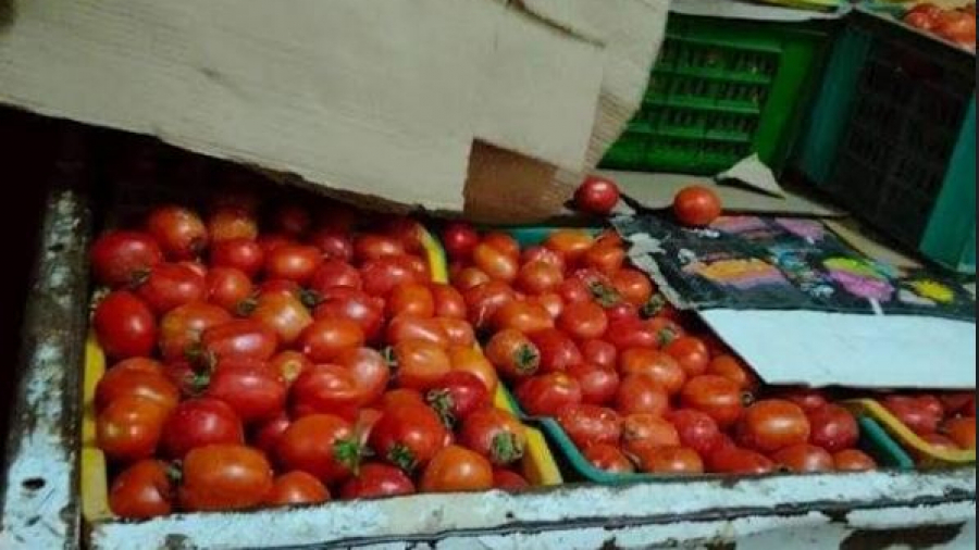 القصرين: حجز أطنان من البطاطا والطماطم القصرين: حجز أطنان من البطاطا والطماطم