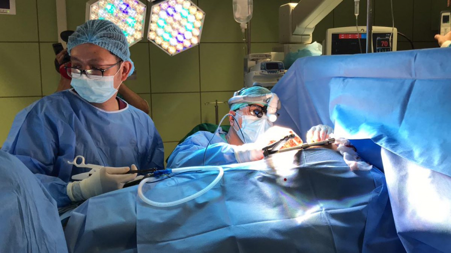 لأوّل مرّة: نجاح زراعة كلية خنزير في جسم بشري لأوّل مرّة: نجاح زراعة كلية خنزير في جسم بشري