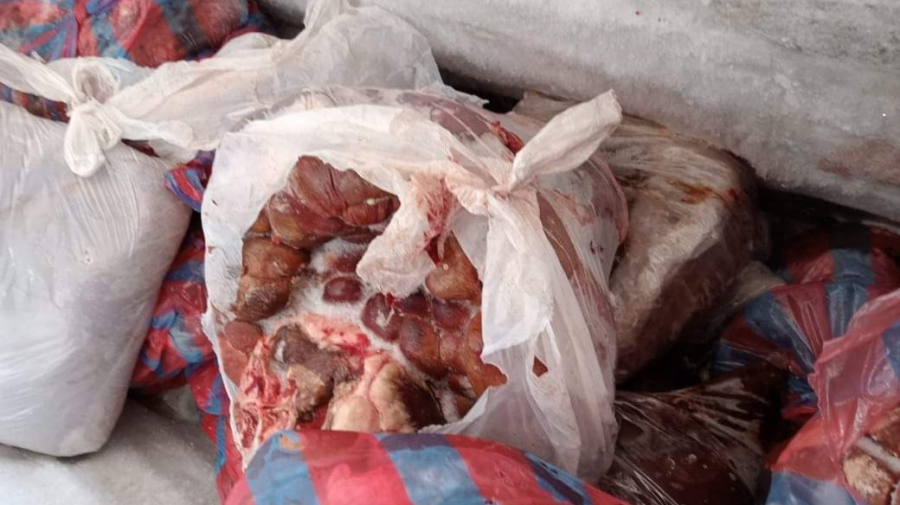 طبلبة: حجز 200 كغ من اللحوم الحمراء غير صالحة للاستهلاك طبلبة: حجز 200 كغ من اللحوم الحمراء غير صالحة للاستهلاك