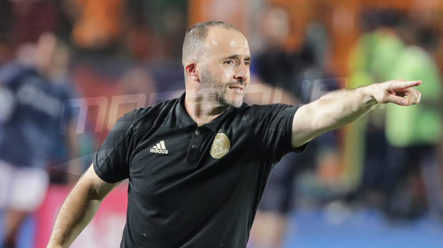 هل يواصل جمال بلماضي تدريب المنتخب الجزائري؟ هل يواصل جمال بلماضي تدريب المنتخب الجزائري؟