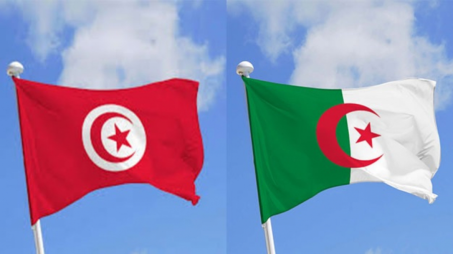 اتفاقيات تونسية جزائرية في البحث العلمي والتعليم العالي اتفاقيات تونسية جزائرية في البحث العلمي والتعليم العالي