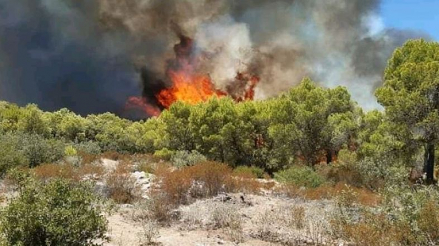 نابل: اندلاع حريق بمنزل بوزلفة نابل: اندلاع حريق بمنزل بوزلفة